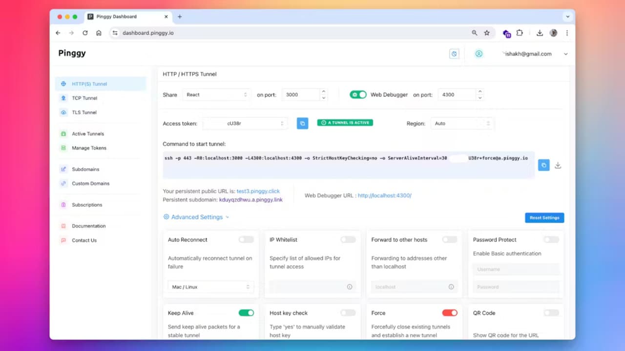 Pinggy screenshot 2