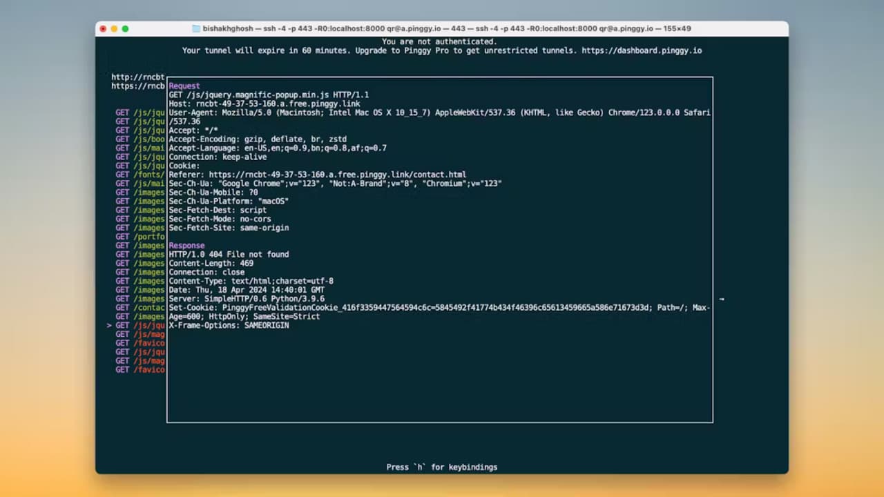 Pinggy screenshot 3