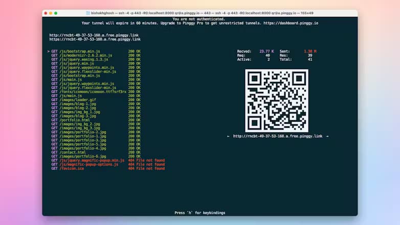 Pinggy screenshot 4