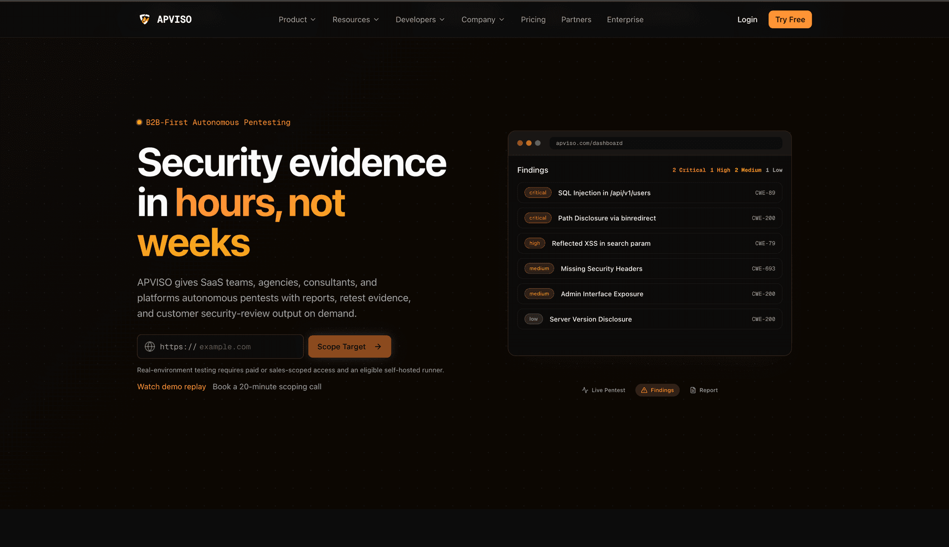 Apviso - Pentest your apps. On your infrastructure