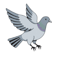 CheckinPigeon logo
