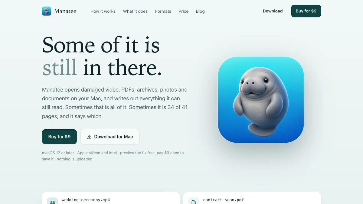 Manatee - Get back what is still in a damaged file